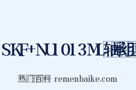SKF+NU1013ML轴承组词是什么意思的图片